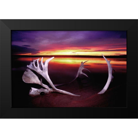 Canada, Whitefish Lake Sunset on caribou antlers Black Modern Wood Framed Art Print by Welling, Dave