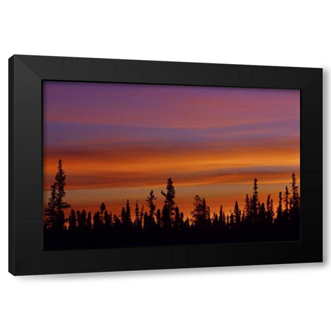 Canada, Ft Resolution Sunrise over forest Black Modern Wood Framed Art Print by Grandmaison, Mike