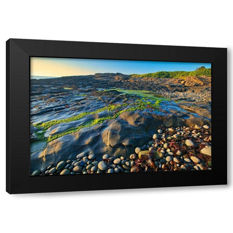 Canada-Nova Scotia Rocky shoreline along Bay of Fundy Black Modern Wood Framed Art Print by Jaynes Gallery