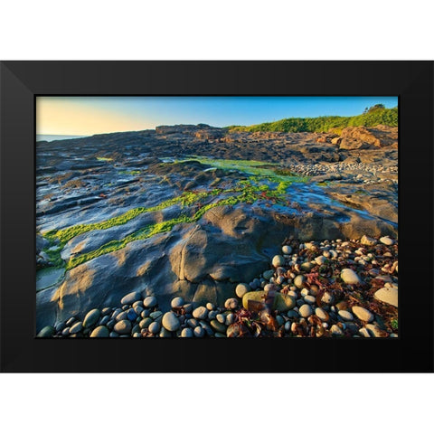 Canada-Nova Scotia Rocky shoreline along Bay of Fundy Black Modern Wood Framed Art Print by Jaynes Gallery