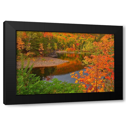 Canada-Nova Scotia Indian Brook and forest in autumn Black Modern Wood Framed Art Print with Double Matting by Jaynes Gallery