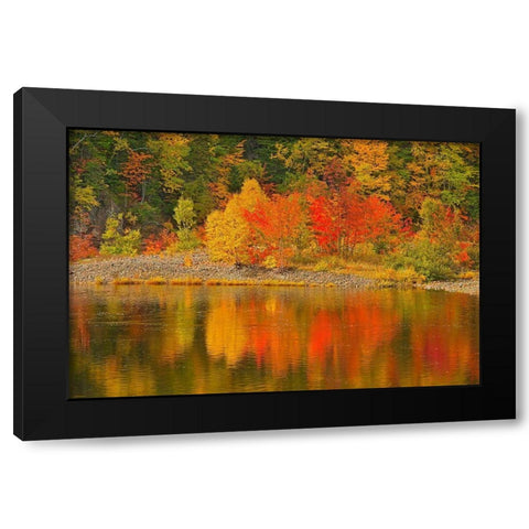 Canada-Nova Scotia Indian Brook and forest in autumn Black Modern Wood Framed Art Print with Double Matting by Jaynes Gallery
