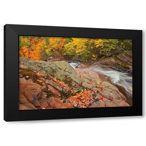 Canada-Nova Scotia Mary-Anne Falls and forest in autumn foliage Black Modern Wood Framed Art Print by Jaynes Gallery