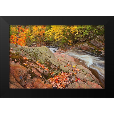 Canada-Nova Scotia Mary-Anne Falls and forest in autumn foliage Black Modern Wood Framed Art Print by Jaynes Gallery