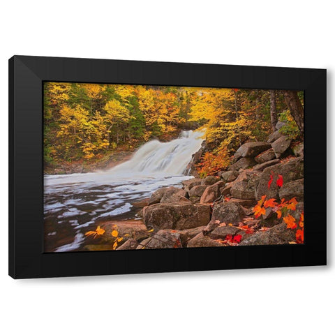 Canada-Nova Scotia Mary-Anne Falls and forest in autumn foliage Black Modern Wood Framed Art Print with Double Matting by Jaynes Gallery