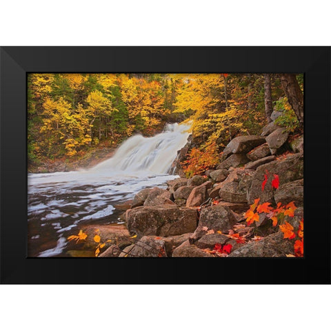 Canada-Nova Scotia Mary-Anne Falls and forest in autumn foliage Black Modern Wood Framed Art Print by Jaynes Gallery