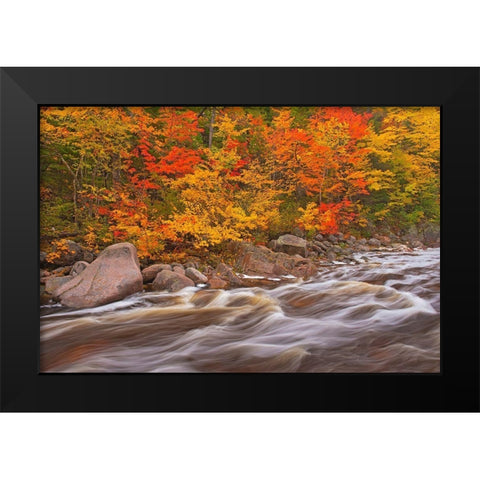 Canada-Nova Scotia Mary-Anne Falls and forest in autumn foliage Black Modern Wood Framed Art Print by Jaynes Gallery