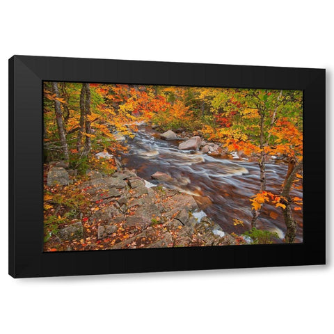 Canada-Nova Scotia Mary-Anne Falls and forest in autumn foliage Black Modern Wood Framed Art Print with Double Matting by Jaynes Gallery