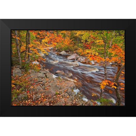 Canada-Nova Scotia Mary-Anne Falls and forest in autumn foliage Black Modern Wood Framed Art Print by Jaynes Gallery