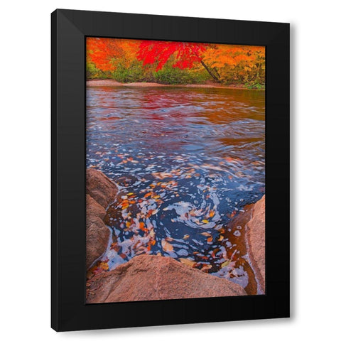 Canada-Nova Scotia-Cape Breton Island North Aspy River and forest in autumn Black Modern Wood Framed Art Print by Jaynes Gallery