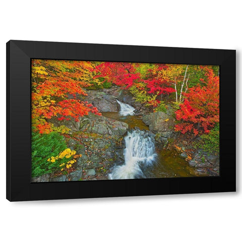 Canada-Nova Scotia-Cape Breton Island Morrison Brook and forest in autumn foliage Black Modern Wood Framed Art Print with Double Matting by Jaynes Gallery
