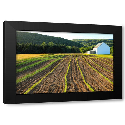 Canada-Nova Scotia-Cape Breton-Miller Farm-Margaree Black Modern Wood Framed Art Print by Wall, Patrick J.
