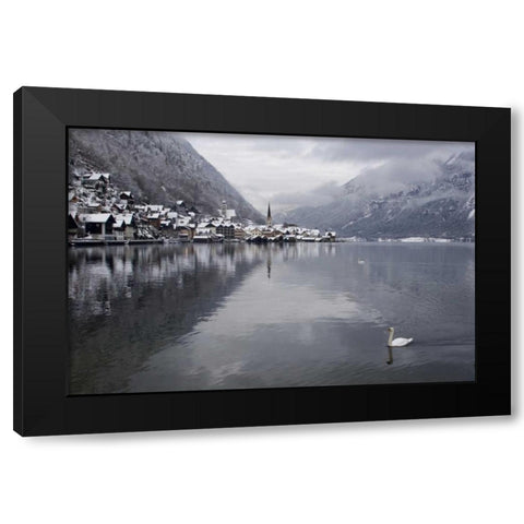 Austria, Hallstatt Swan on Lake Hallstatt Black Modern Wood Framed Art Print by Young, Bill