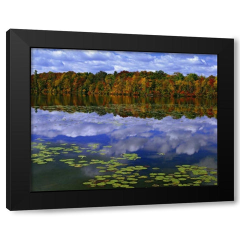 Canada, Ontario Autumn around Park Haven Lake Black Modern Wood Framed Art Print with Double Matting by Flaherty, Dennis