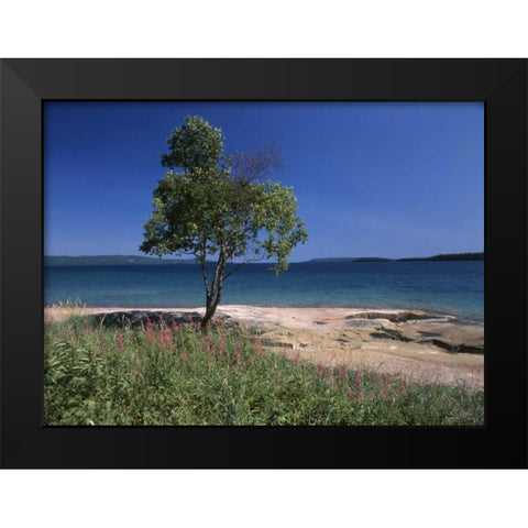 Canada, Ontario, Lake Superior Black Modern Wood Framed Art Print by Grandmaison, Mike