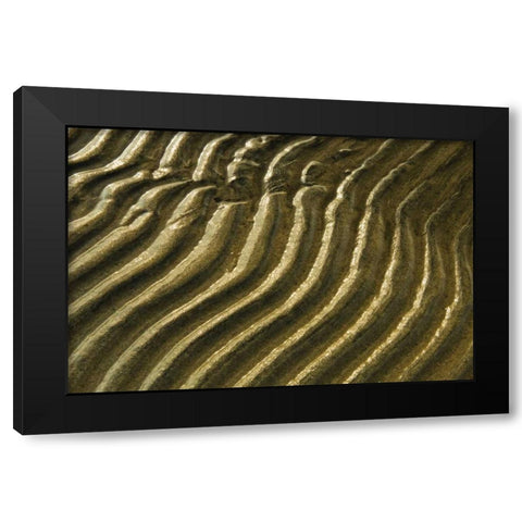 Canada, Ontario Ripples in sand of Georgian Bay Black Modern Wood Framed Art Print with Double Matting by Grandmaison, Mike