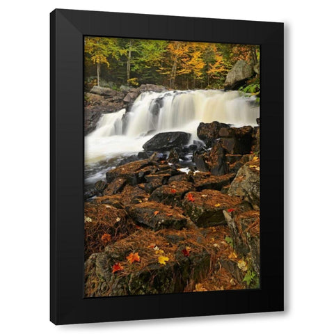Canada, Emsdale Maple leaves by Magnetewan River Black Modern Wood Framed Art Print with Double Matting by Grandmaison, Mike