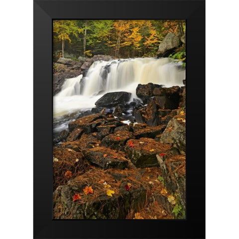 Canada, Emsdale Maple leaves by Magnetewan River Black Modern Wood Framed Art Print by Grandmaison, Mike