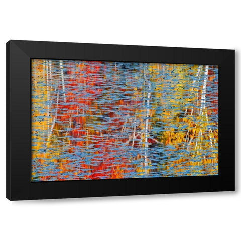 Canada, Ontario, Minden Autumn reflects in pond Black Modern Wood Framed Art Print by Grandmaison, Mike