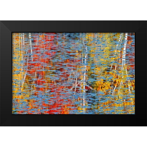 Canada, Ontario, Minden Autumn reflects in pond Black Modern Wood Framed Art Print by Grandmaison, Mike