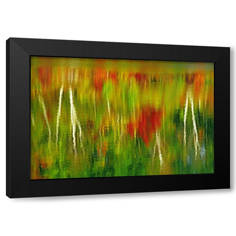 Canada Fall reflection in St Poithier Lake Black Modern Wood Framed Art Print by Grandmaison, Mike