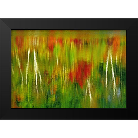 Canada Fall reflection in St Poithier Lake Black Modern Wood Framed Art Print by Grandmaison, Mike