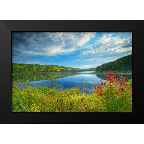 Canada, Algonquin PP Landscape of Costello Lake Black Modern Wood Framed Art Print by Grandmaison, Mike