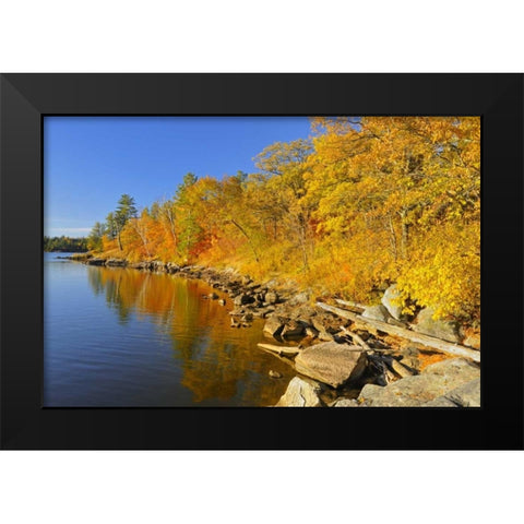 Canada, Ontario, Autumn at Lake of the Woods Black Modern Wood Framed Art Print by Grandmaison, Mike