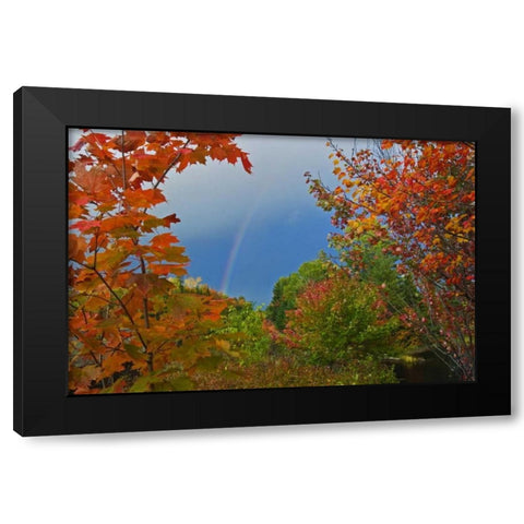 Canada, Ontario Rainbow and maples in autumn Black Modern Wood Framed Art Print by Grandmaison, Mike