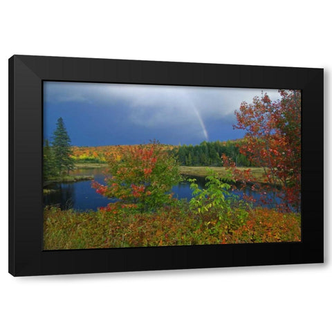 Canada, Ontario Rainbow and maples in autumn Black Modern Wood Framed Art Print with Double Matting by Grandmaison, Mike