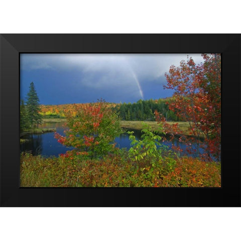 Canada, Ontario Rainbow and maples in autumn Black Modern Wood Framed Art Print by Grandmaison, Mike