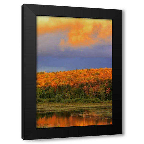 Canada, Ontario, Oxtongue Lake Sky and forest Black Modern Wood Framed Art Print by Grandmaison, Mike