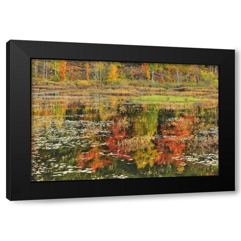 Canada, Minden Reflection of autumn  in pond Black Modern Wood Framed Art Print with Double Matting by Grandmaison, Mike