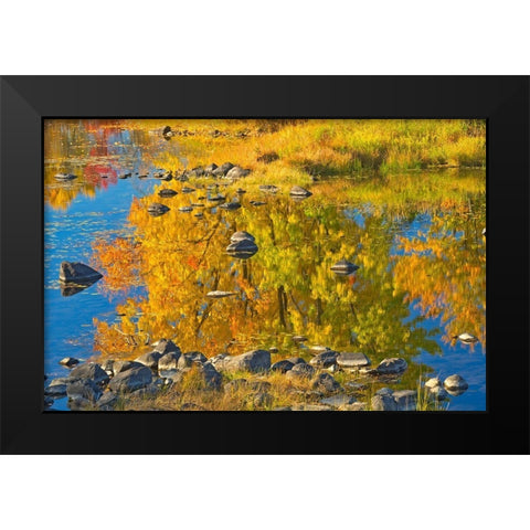 Canada-Ontario-Whitefish Autumn colors reflect in Vermilion River Black Modern Wood Framed Art Print by Jaynes Gallery