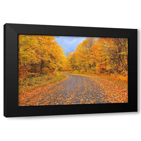 Canada-Ontario Country road through forest Black Modern Wood Framed Art Print by Jaynes Gallery