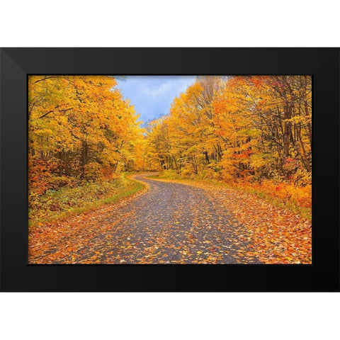 Canada-Ontario Country road through forest Black Modern Wood Framed Art Print by Jaynes Gallery