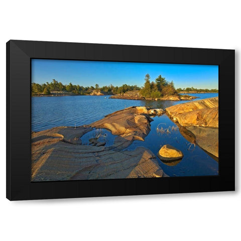 Canada-Ontario-Honey Harbour White pine tree on Precambrian shield rock Black Modern Wood Framed Art Print with Double Matting by Jaynes Gallery
