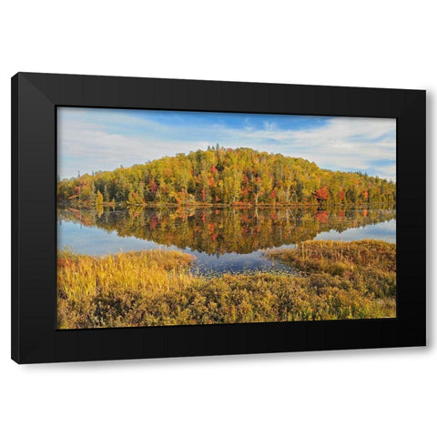 Canada-Ontario-Goulais River Forest reflection in lake Black Modern Wood Framed Art Print by Jaynes Gallery