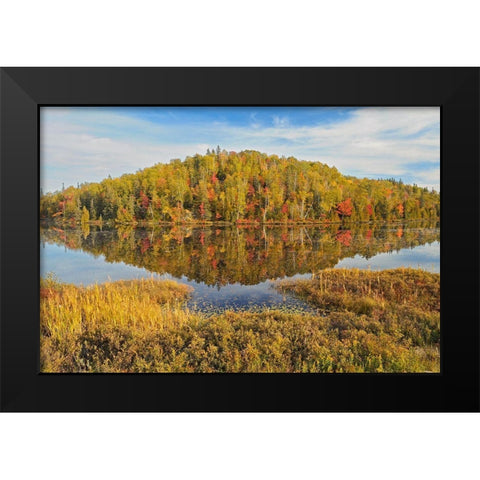 Canada-Ontario-Goulais River Forest reflection in lake Black Modern Wood Framed Art Print by Jaynes Gallery