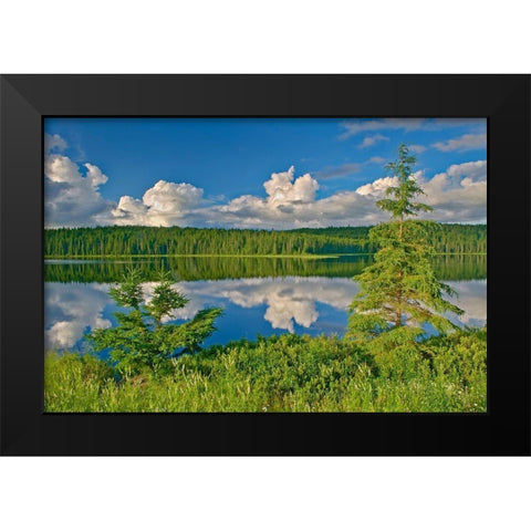 Canada-Ontario Clouds reflected in Trail Lake Black Modern Wood Framed Art Print by Jaynes Gallery