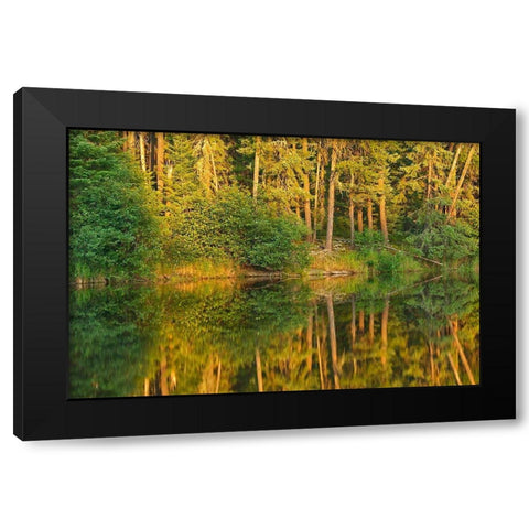 Canada-Ontario Sunset on forest reflected in lake Black Modern Wood Framed Art Print by Jaynes Gallery