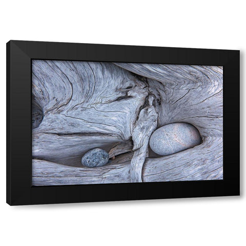 Canada-Ontario-Marathon Rocks in driftwood on Pebble Beach Black Modern Wood Framed Art Print with Double Matting by Jaynes Gallery