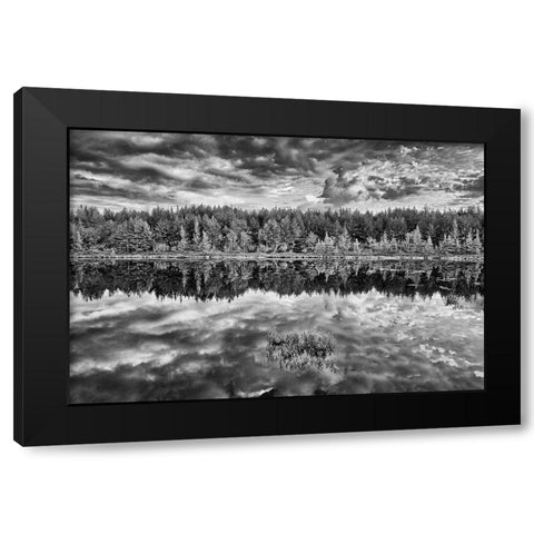 Canada-Ontario-Greater Sudbury Black and white of lake grasses and cloud reflections at sunrise Black Modern Wood Framed Art Print with Double Matting by Jaynes Gallery