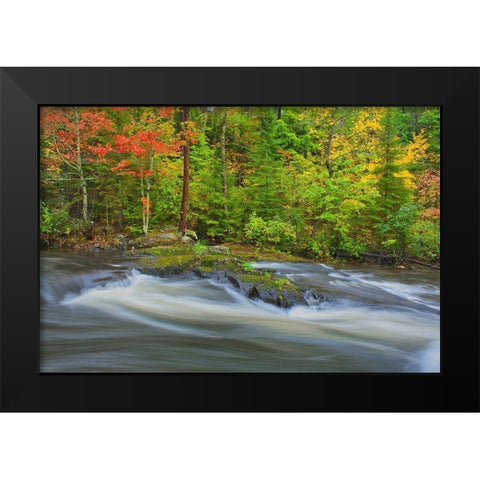 Canada-Ontario Berry Creek landscape Black Modern Wood Framed Art Print by Jaynes Gallery
