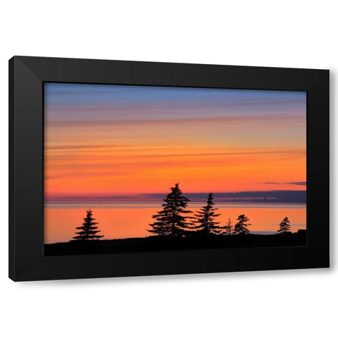 Canada, West Cape Trees on Prince Edward Island Black Modern Wood Framed Art Print by Grandmaison, Mike