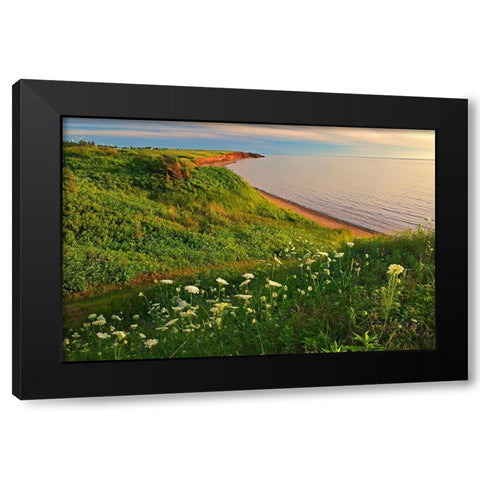 Canada-Prince Edward Island-Campbelton Red sand and bluffs along Northumberland Strait Black Modern Wood Framed Art Print by Jaynes Gallery