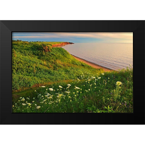 Canada-Prince Edward Island-Campbelton Red sand and bluffs along Northumberland Strait Black Modern Wood Framed Art Print by Jaynes Gallery