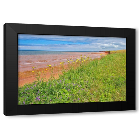 Canada-Prince Edward Island-Skinners Pond Red sandstone beach on Northumberland Strait Black Modern Wood Framed Art Print by Jaynes Gallery