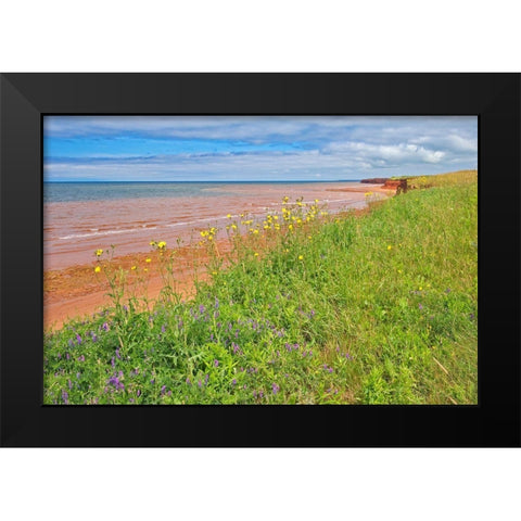 Canada-Prince Edward Island-Skinners Pond Red sandstone beach on Northumberland Strait Black Modern Wood Framed Art Print by Jaynes Gallery