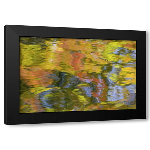 Quebec, Canada Autumn reflects on water patterns Black Modern Wood Framed Art Print by Delisle, Gilles
